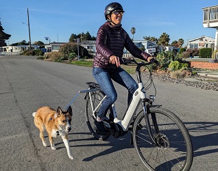 Moved By Dog Runner-250